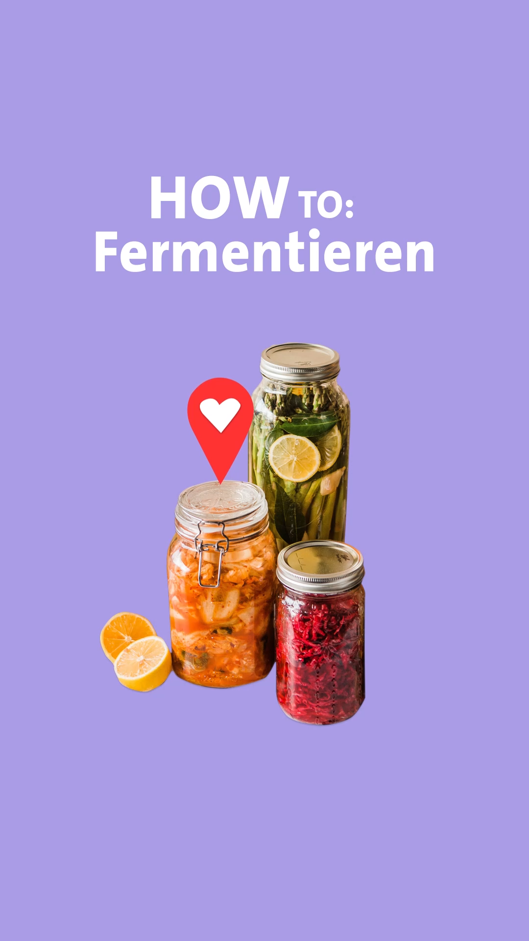 Selber Fermentieren Geerntetes haltbar machen!